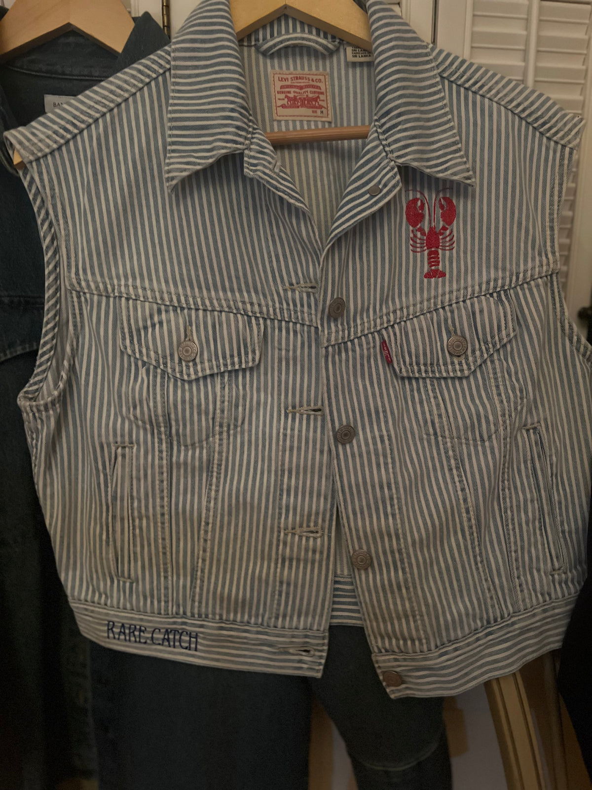 Rare Catch 002 - Levi’s Railroad Stripe Vest