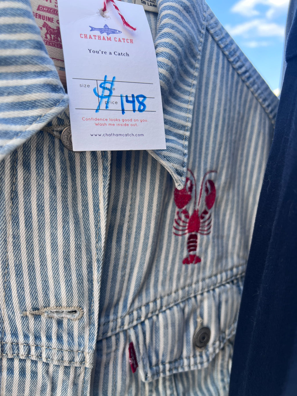 Rare Catch 002 - Levi’s Railroad Stripe Vest